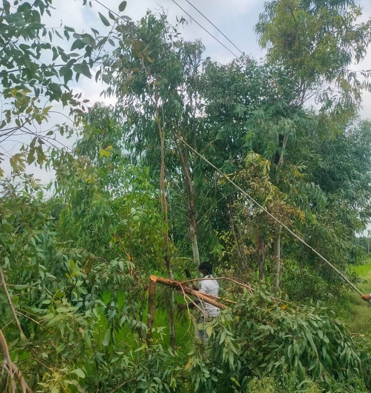 Seven-hour power cut adds to difficulties.