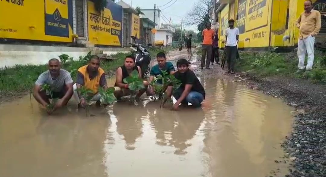 फोटो -03 सड़क के गड्ढे पर भरे पानी में पौधे लगाकर विरोध करते युवा। संवाद