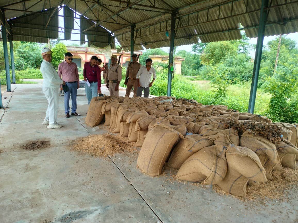 100 quintals of wheat soaked in the rain; official claims everything is fine.