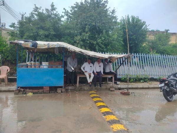 The monsoon has brought new life to the crops.