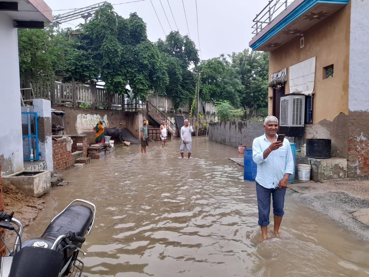 60 percent of houses in Rajpura Khalsa village are surrounded by water.