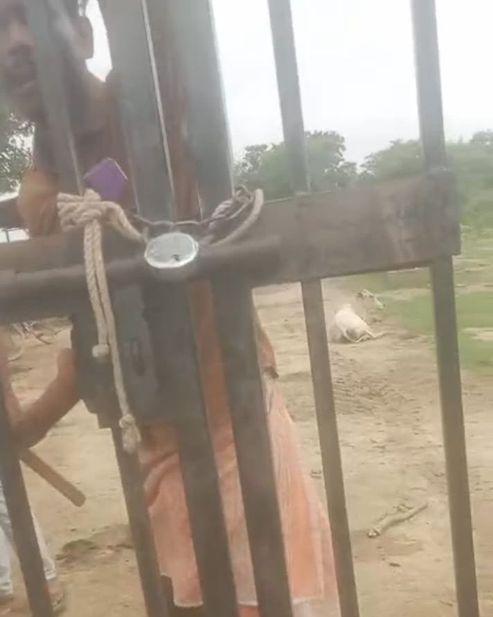 Youths create a ruckus at the cowshed gate; attempt to break the lock.