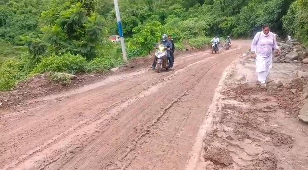 Bilaspur News: नालियां के पास सड़क बनी दलदल, जोखिम में सफर
