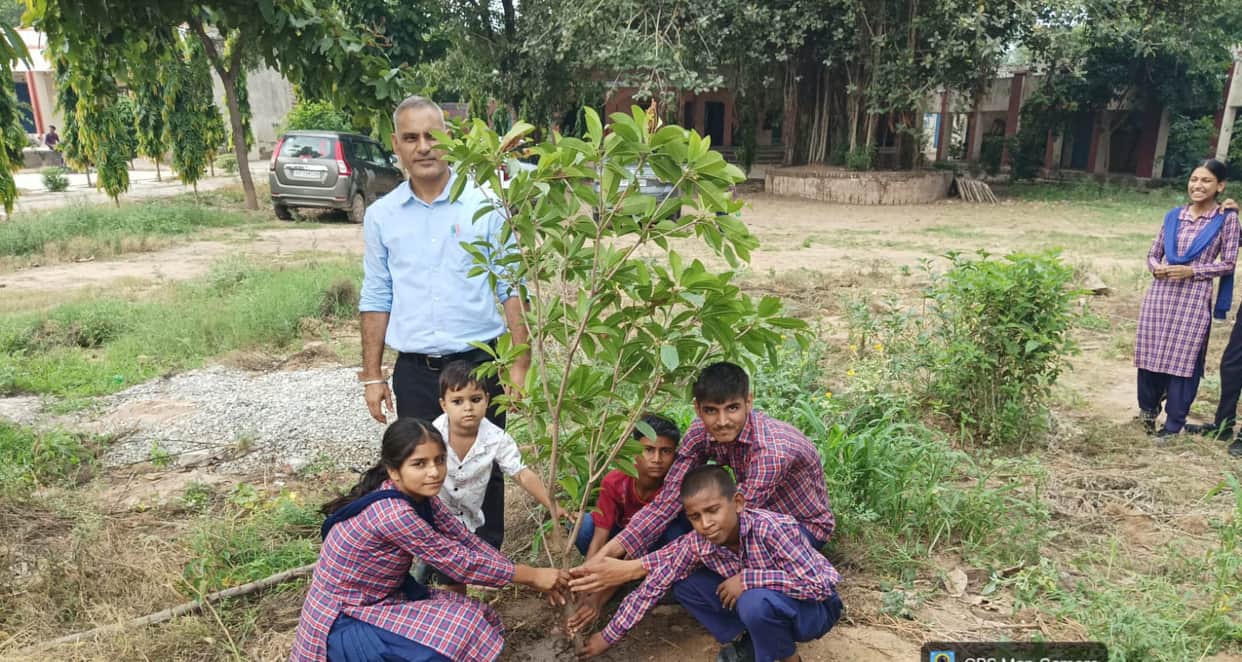 More than 100 saplings were planted at the Government School in Pranpur.