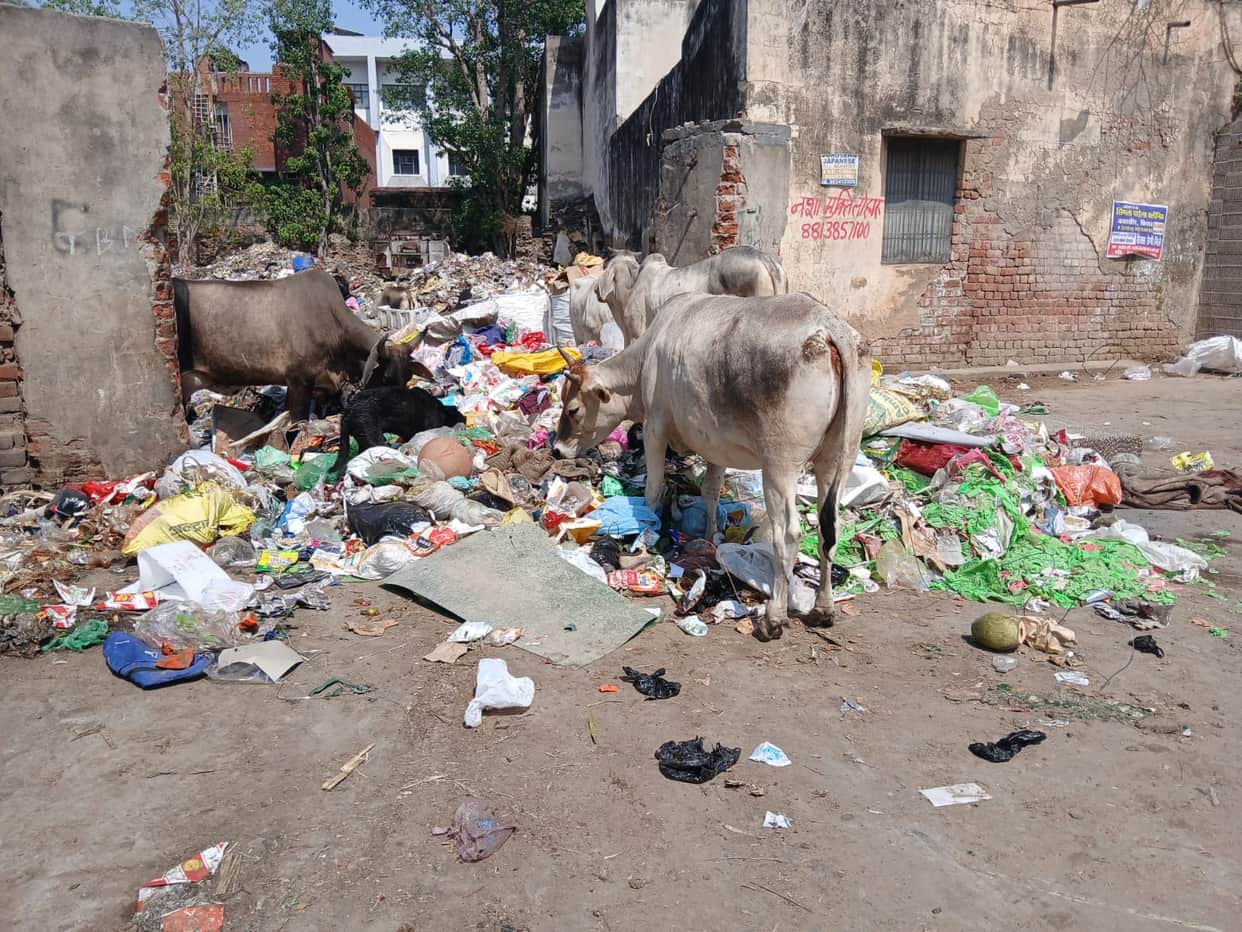 Sanitation workers' strike extended by another three days; filth spreads across the city.