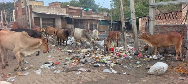 City buried under a mountain of 400 tonnes of garbage; sanitation services remained stalled for the second consecutive day.