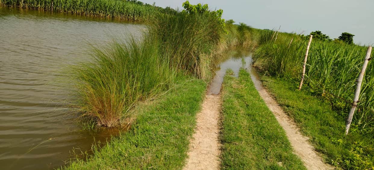 The water of Saryu has reached the village thresholds