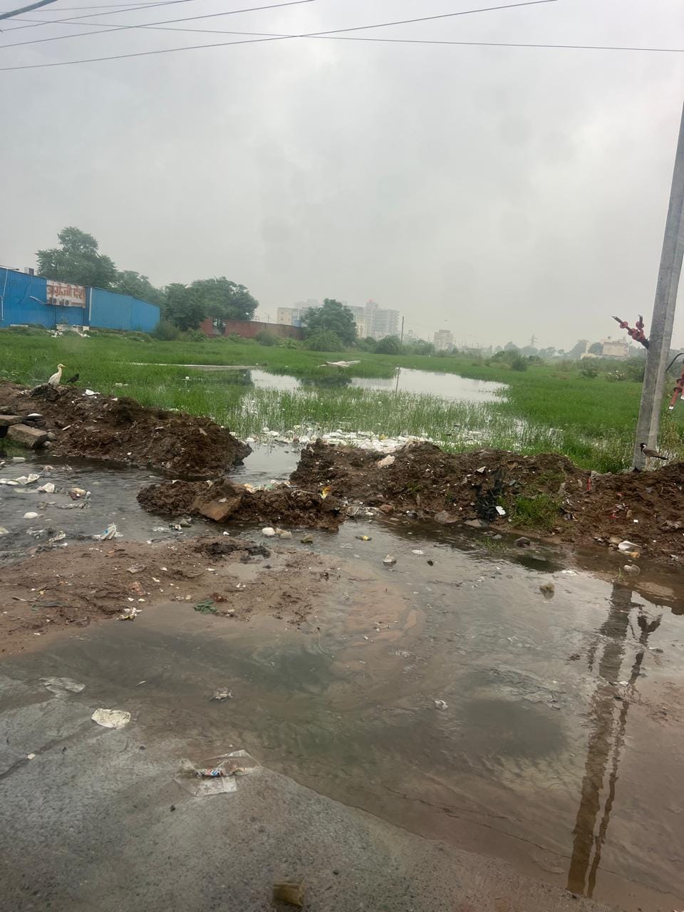 Polluted water from the bypass reached the roads in Sectors 4 and 6.
