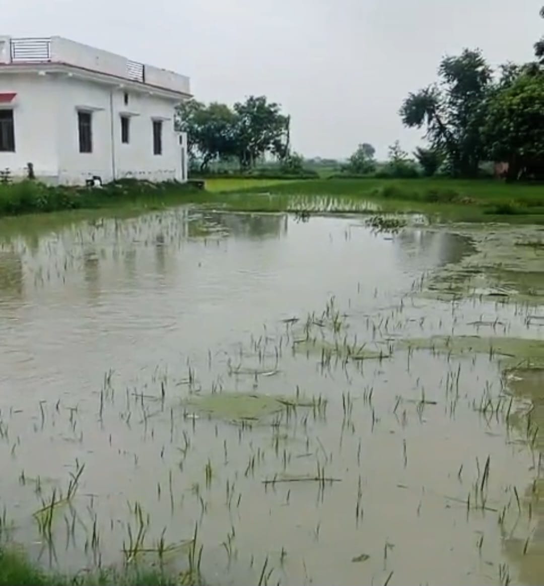 भिखारीपुर-फत्तूपुर निस्फी में घर के पास लगा नहर का पानी। संवाद