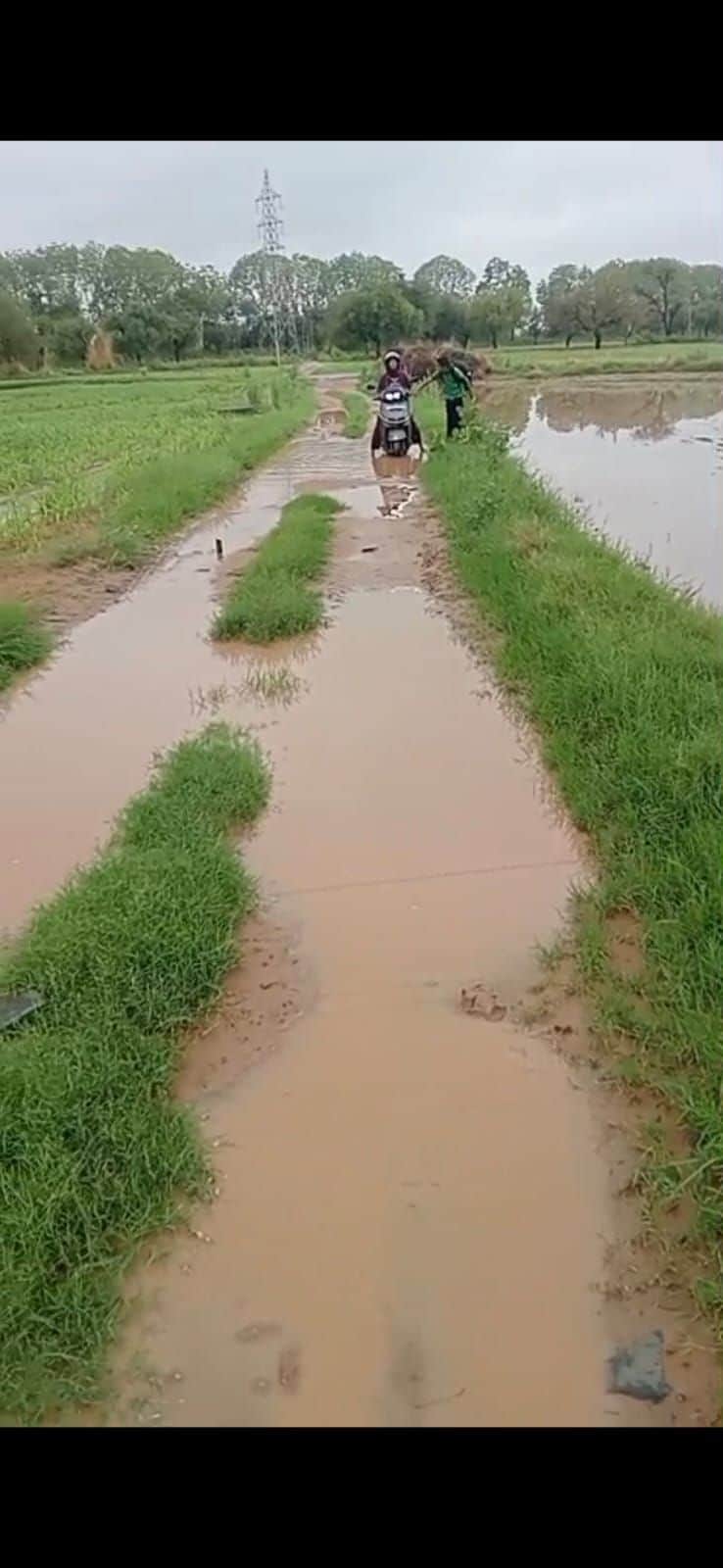 Plagued by an unpaved road for 20 years; reaching schools and fields becomes difficult during the rains.