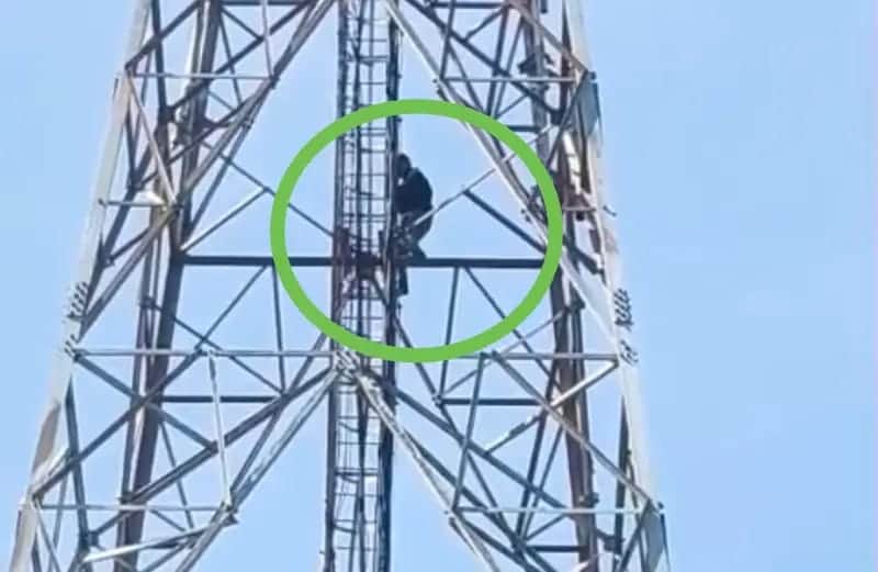 Youth climbs 300-foot-high mobile tower, insisting on marriage.