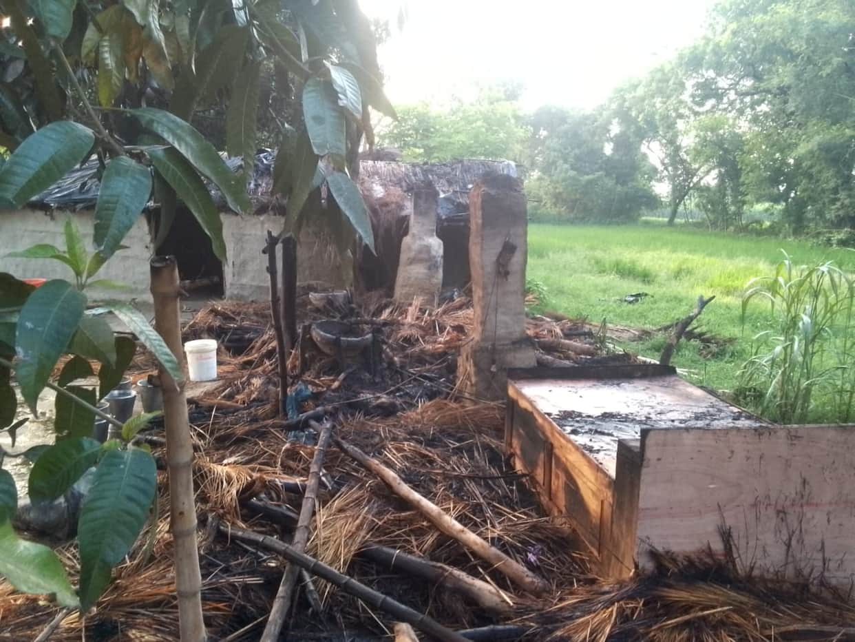 Three cattle got burnt as the shed caught fire
