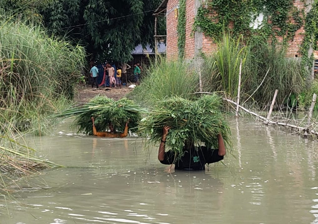 Katvasi Nala also overflows; people face increased difficulties.