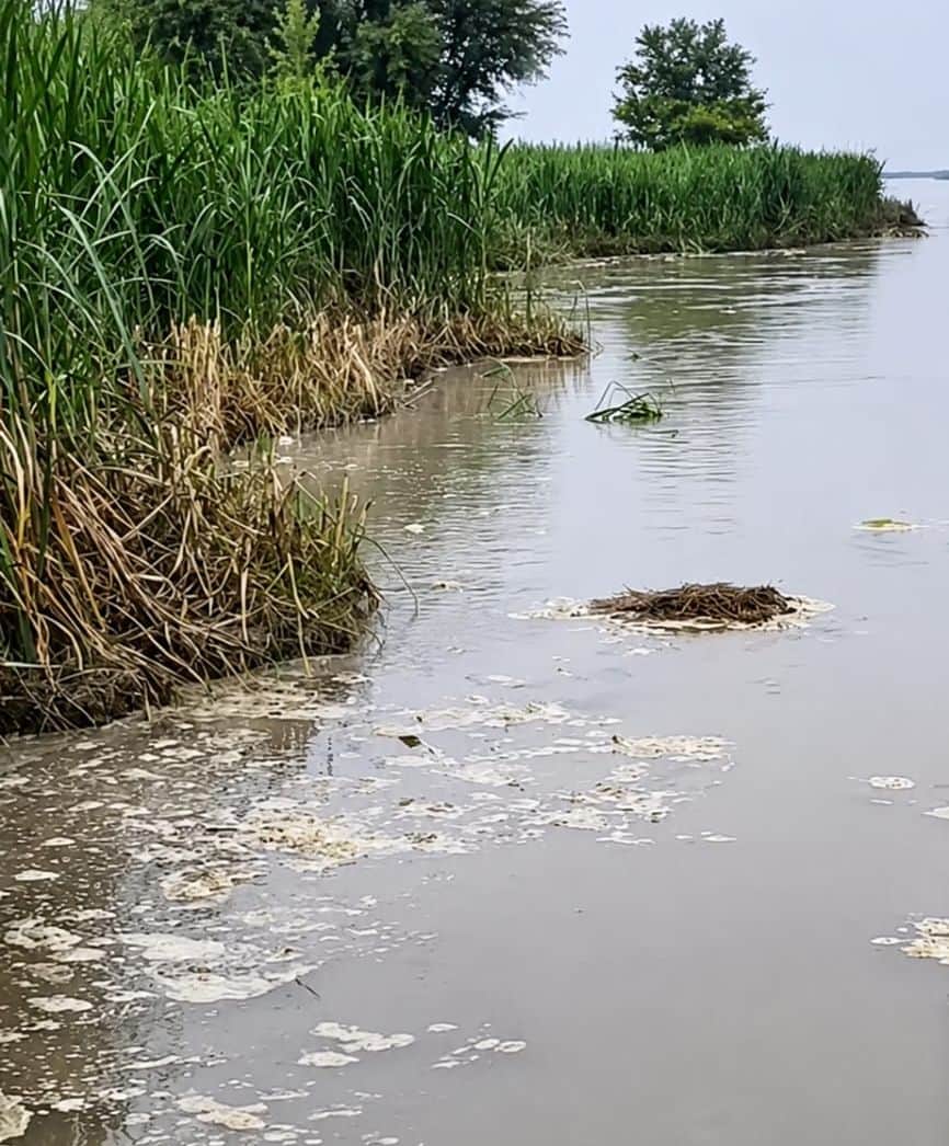 Saryu above danger mark; heightened risk of erosion