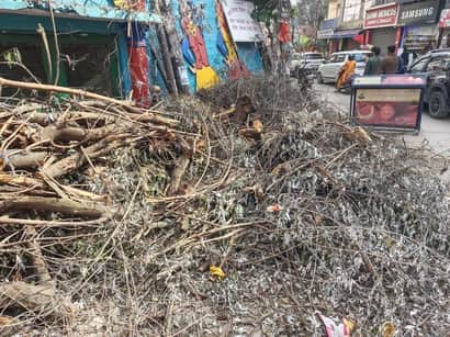 A tree that had fallen during the rain was cut up and left on Mall Road.