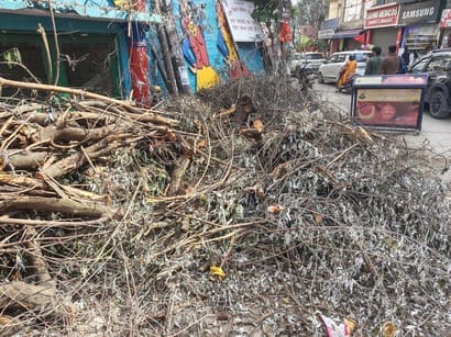 Solan News: बारिश के समय गिरा पेड़ काटकर मालरोड पर छोड़ा