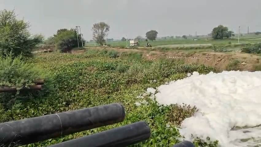 Massive accumulation of water hyacinth in KCB drain; questions raised over pre-monsoon preparations.
