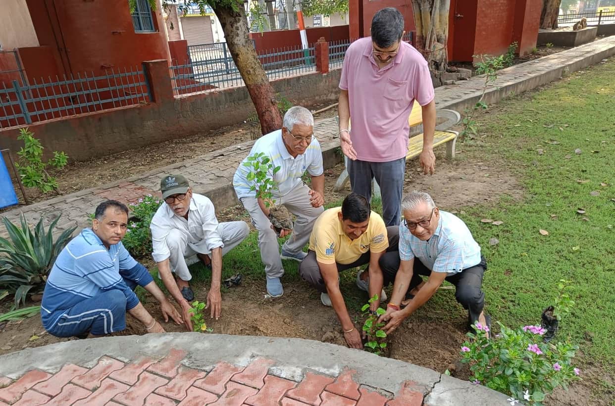 Plantation done along with cleanliness drive