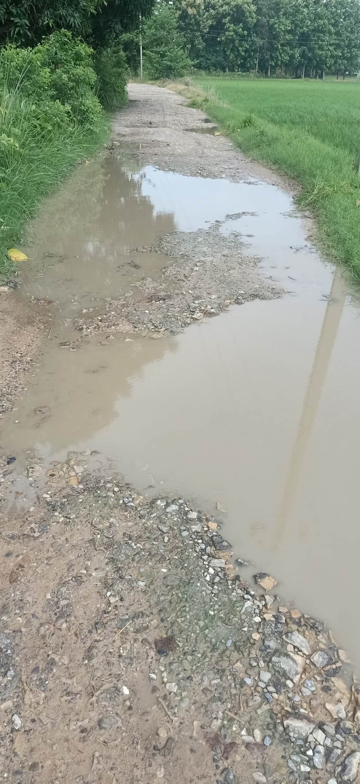 Mirpur-Dharui road in shambles for 13 years; commuters troubled by road turned into a series of potholes.