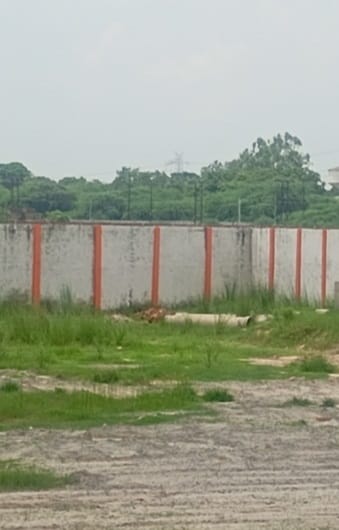Meerut Development Authority Auction: Gangannagar Residential Plots Fetch Four Times Circle Rate