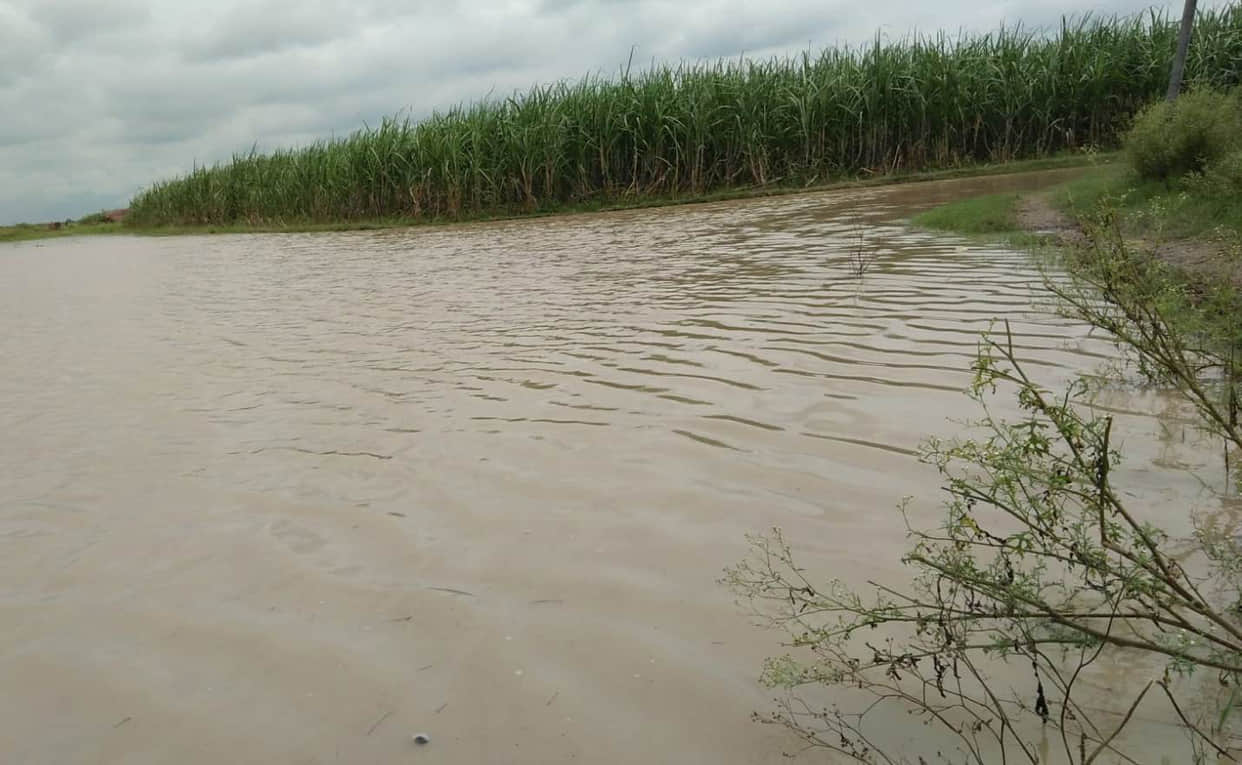 Ganga water has entered the approach roads to Shakarpur and Kakather ki Madhaiya