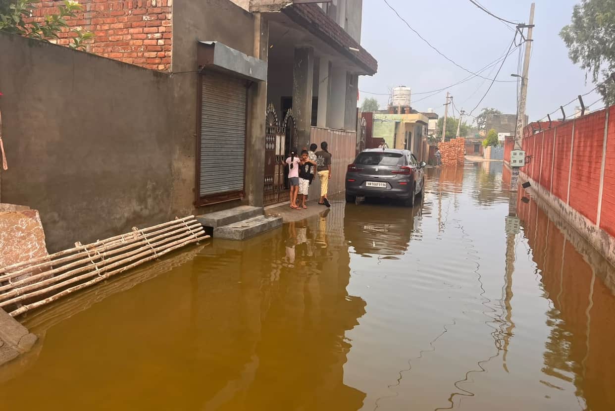 Claims of preparedness dashed... arrangements collapsed completely.