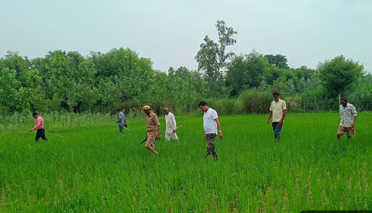 जांच करती वन विभाग की टीम