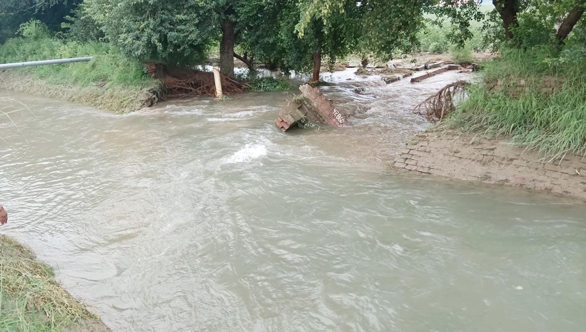 Breach in Khedi canal; water floods approximately 100 acres