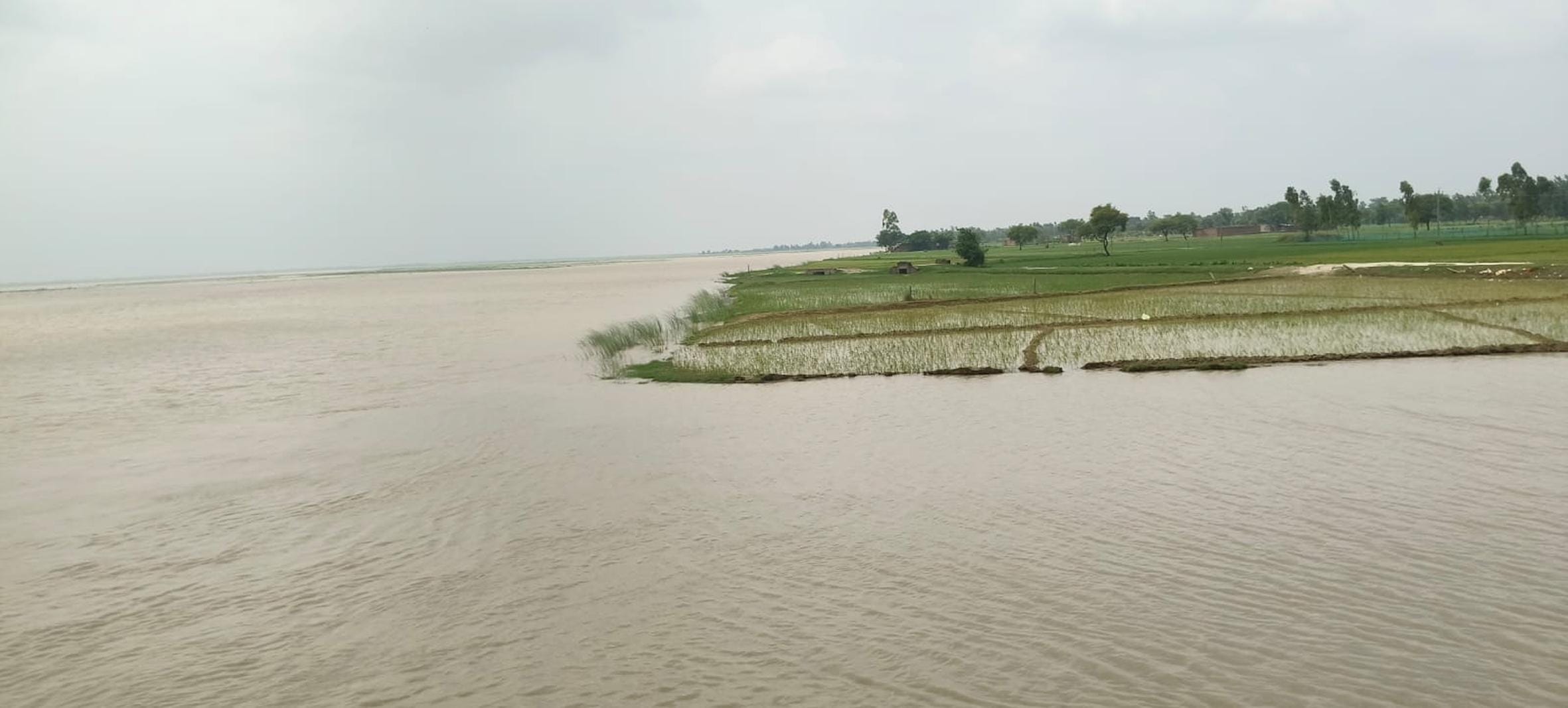 महसी में लोनियनपुरवा में उफनाई सरयू नदी। 
