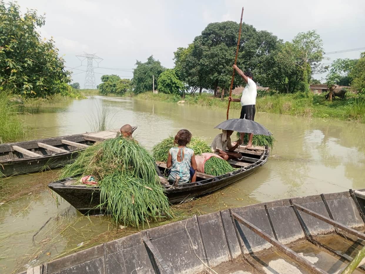 Saryu is surging, 7 cm below the red mark