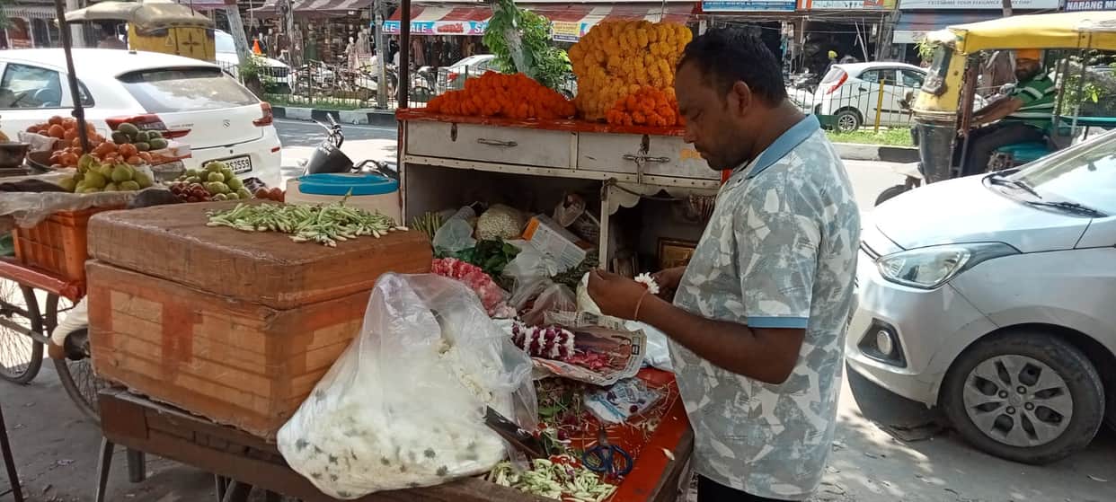 Marigold prices