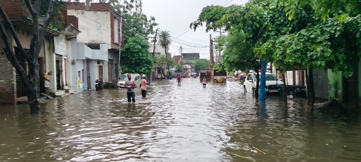 Sardhana Grapples with Waterlogging; Rain Exposes Flaws in Drainage System