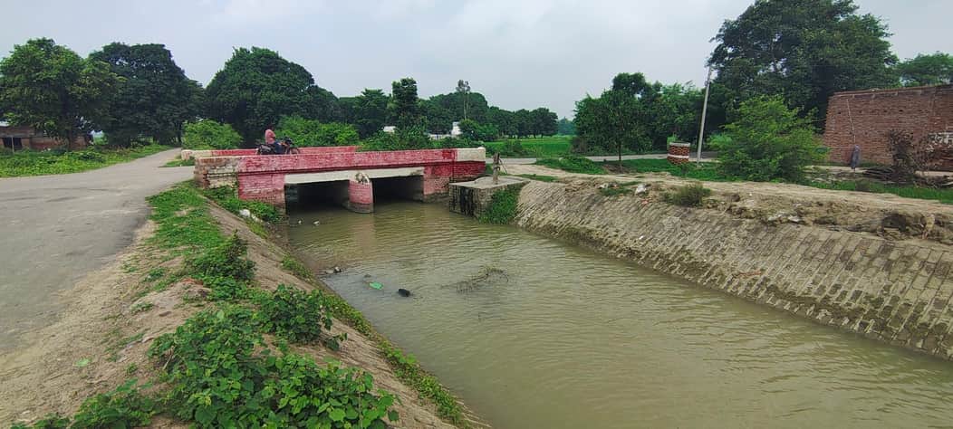 Department swings into action after 15 days; water released into distributary, transplanting picks up pace.