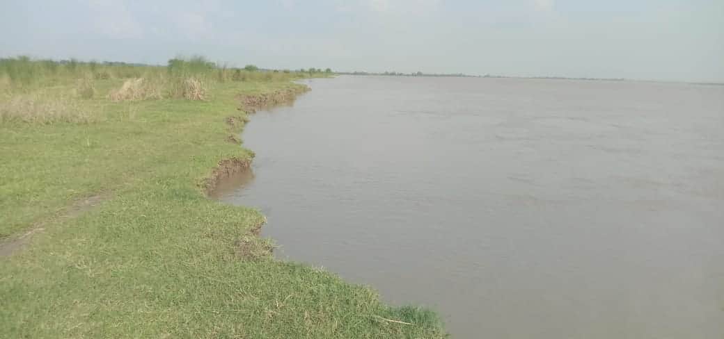 Saryu steady, erosion continues... farmers worried.