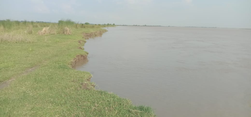 Saryu steady, erosion continues... farmers worried.