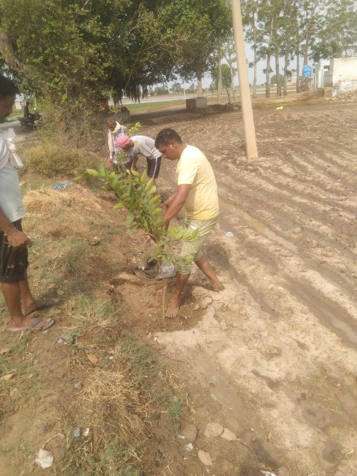 Van Mitras will receive incentives for planting trees