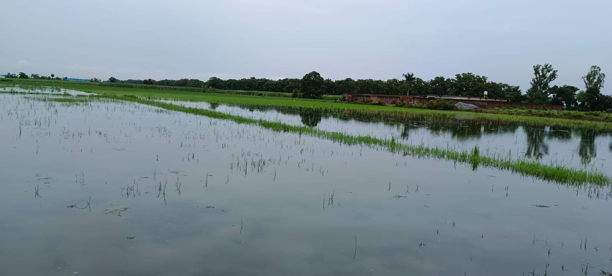 Ganga discharge from Bijnor Barrage increases; situation in Hastinapur remains under control for now.