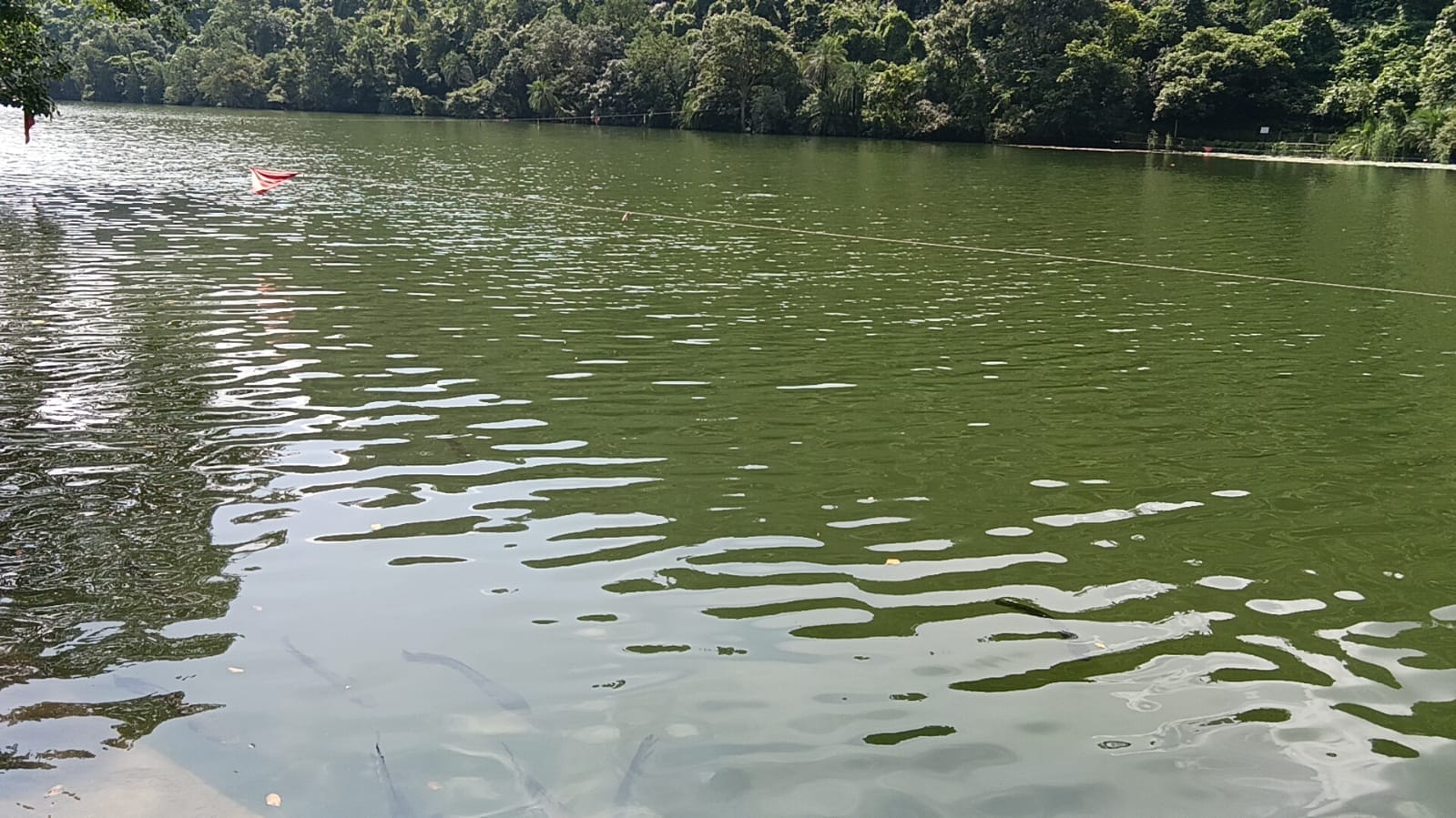 बारिश से जल स्तर बढ़ने के बाद रेणुकाजी झील का नजारा। संवाद