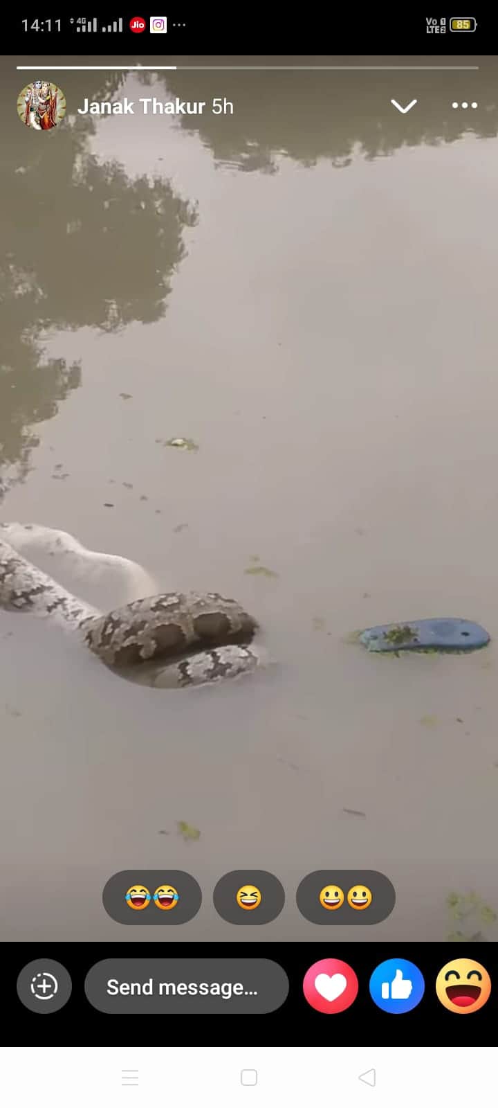 10-foot-long python spotted by the pond