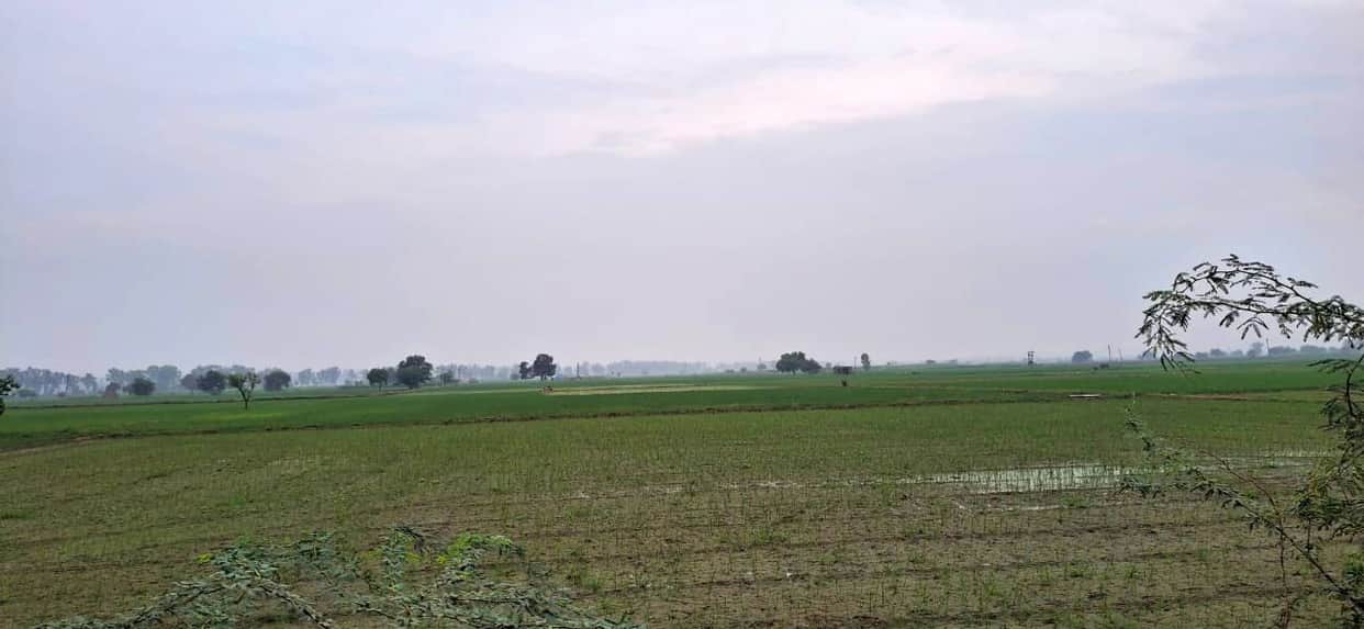 The weather changed in the district, with drizzle and heavy rain in some places.