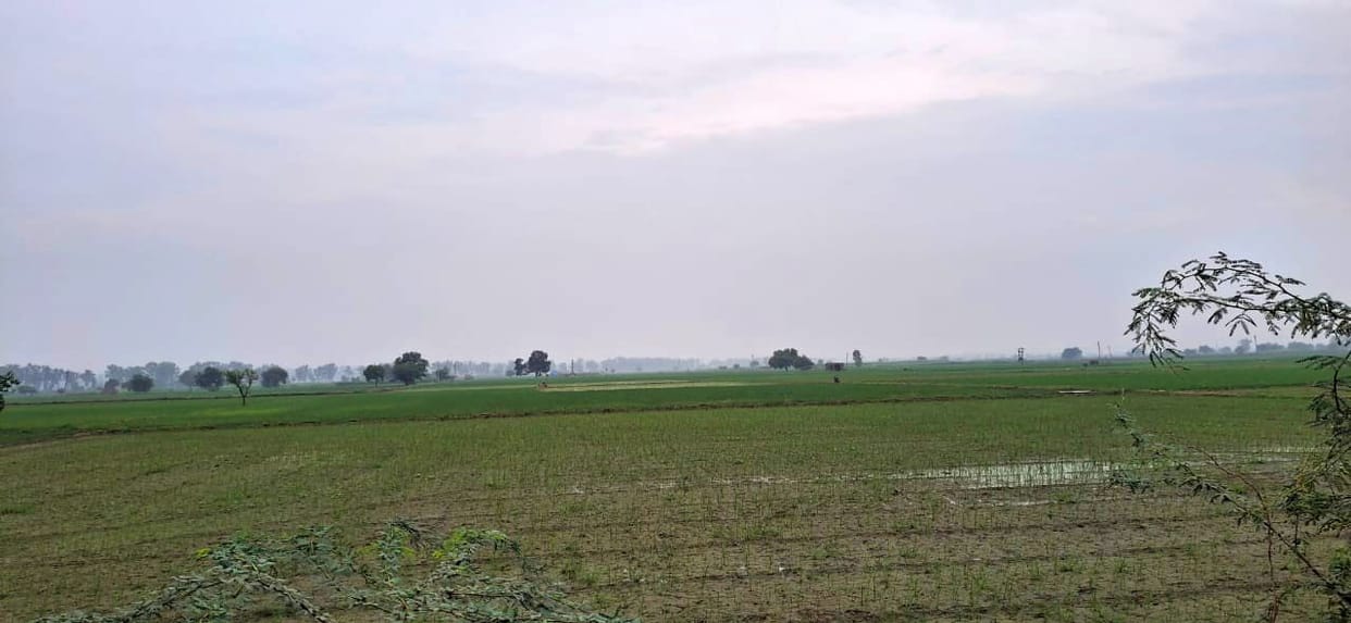 The weather changed in the district, with drizzle and heavy rain in some places.
