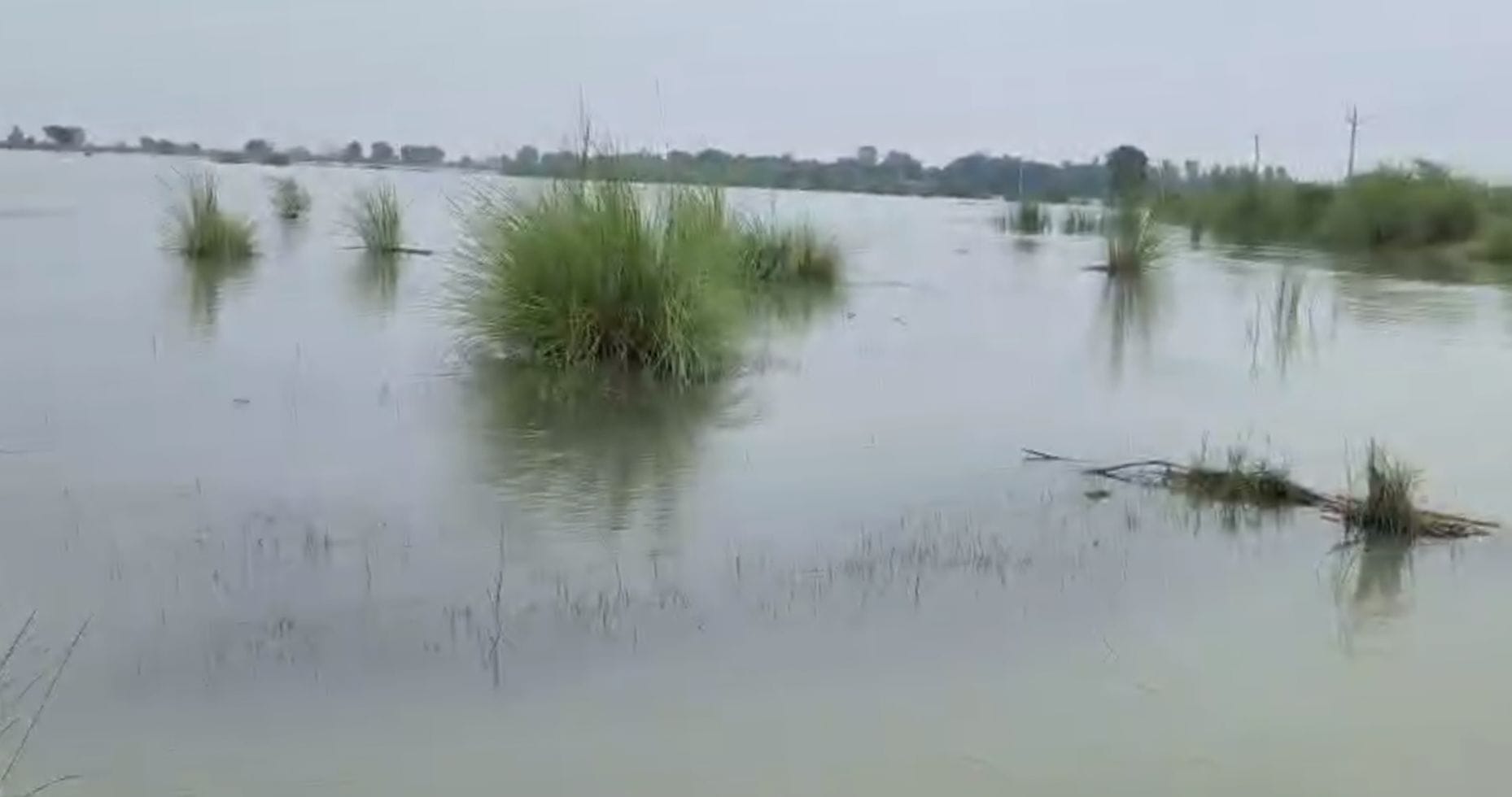 फोटो 32- नगला हंसी का जलमग्न इलाका ।स्रोत संवाद