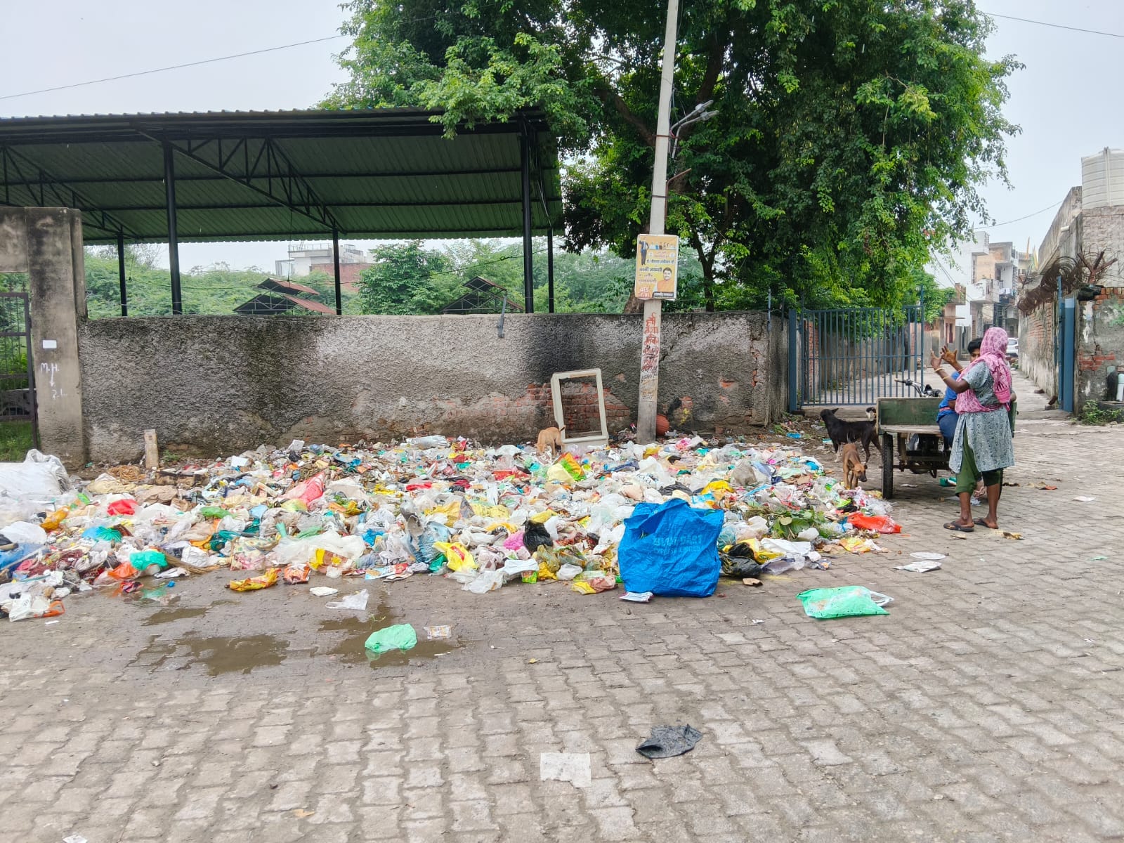 फोटो : सोनीपत के शनि मंदिर के सामने पड़ा कचरे का ढेर। संवाद