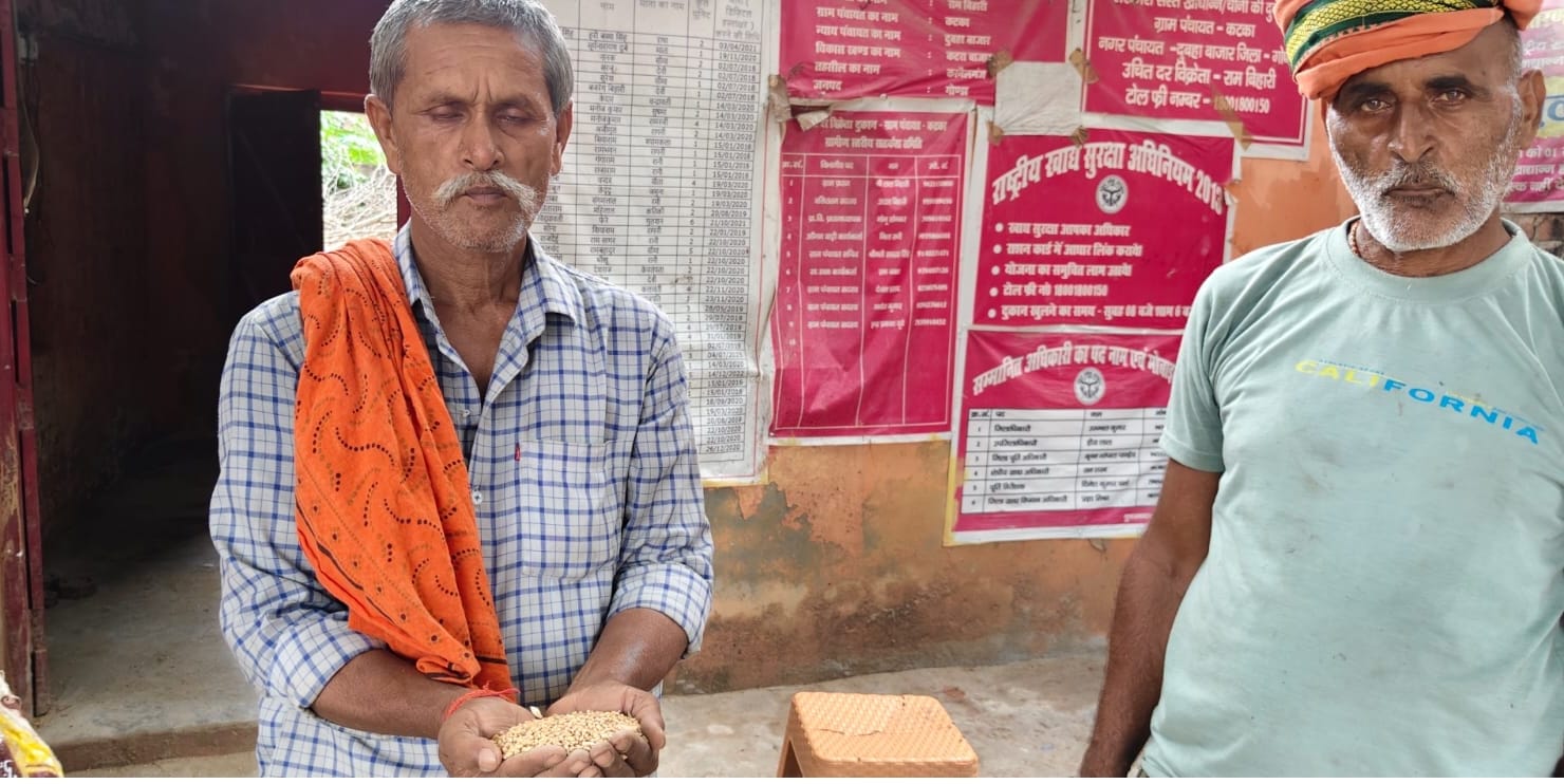 कटरा बाजार के कटका में गेहूं दिखाते ग्रामीण व इस तरह का बांटा जा रहा गेहूं। स्रोत: उपभोक्ता