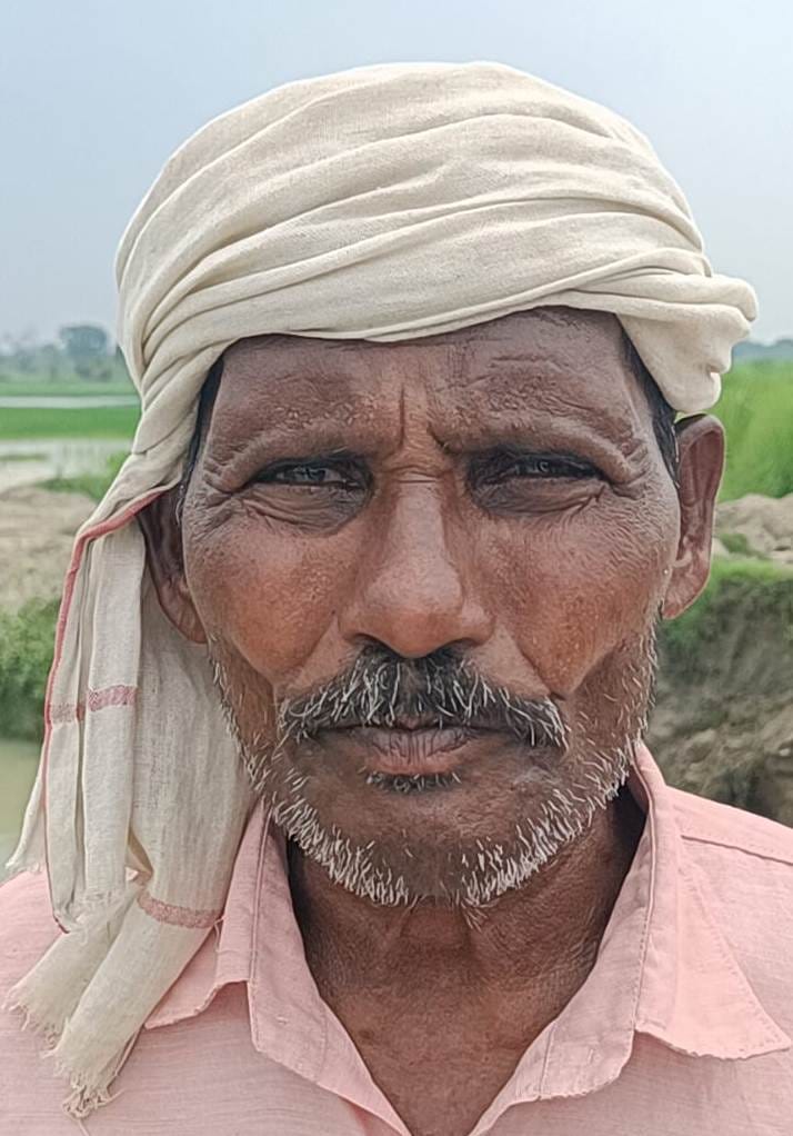 मुलायम