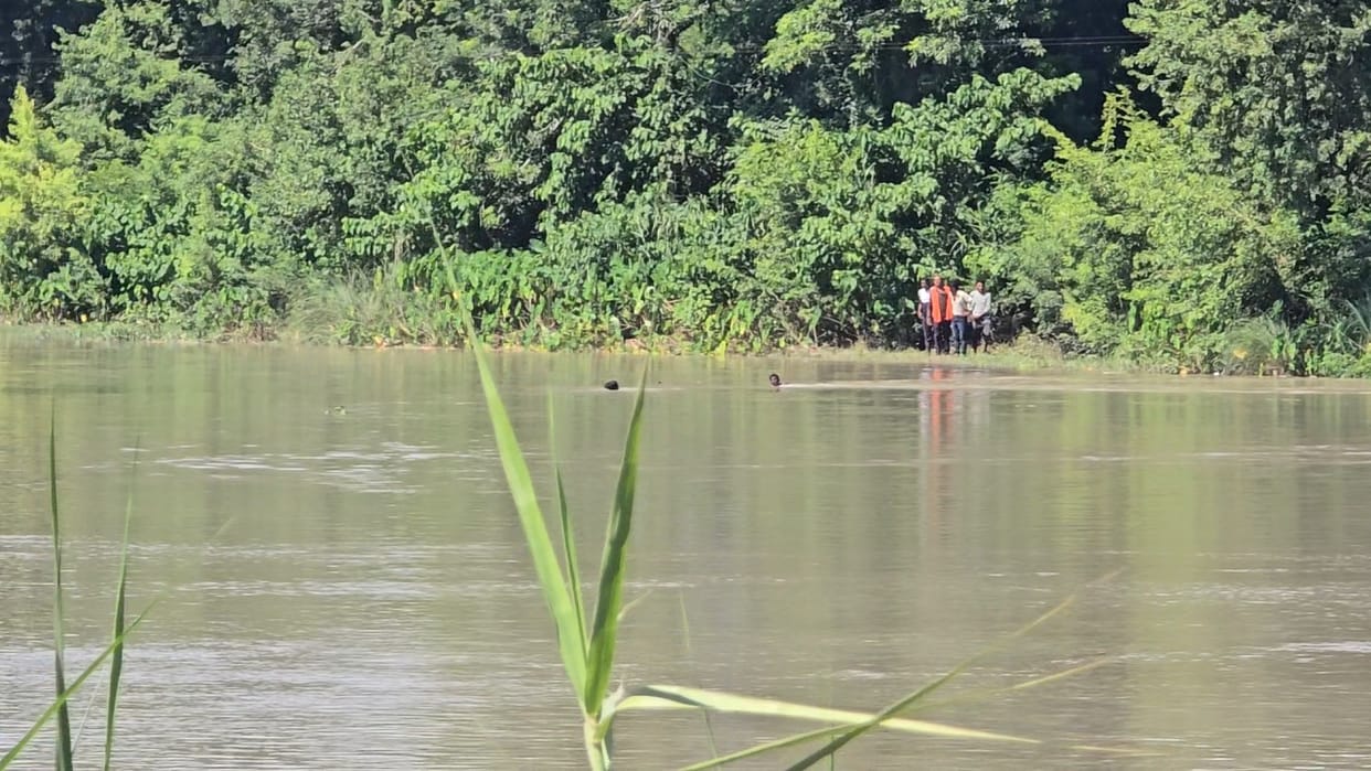 Teenage girl jumps into canal... Two people save bus driver from drowning while he goes to rescue her