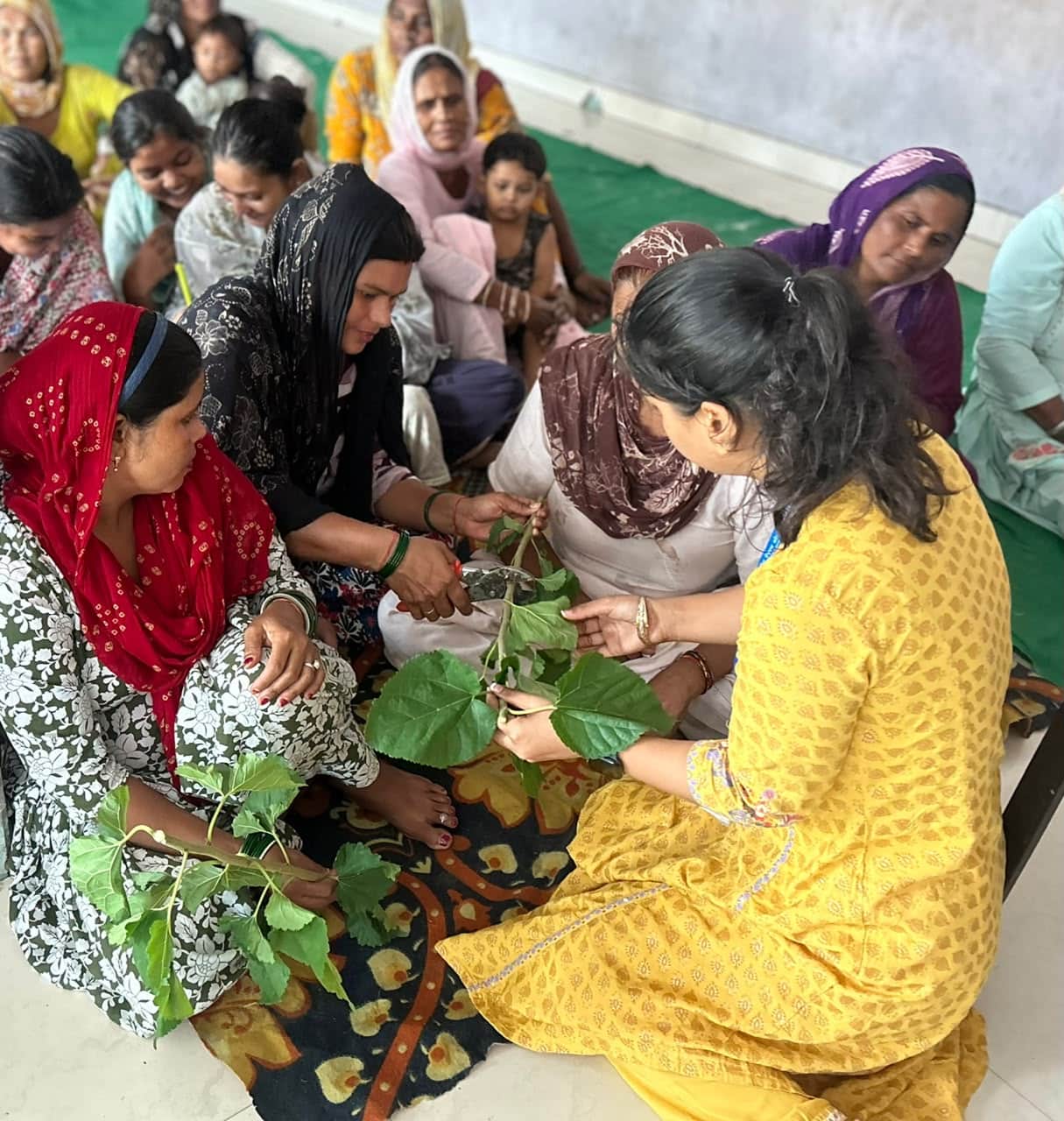 Farmers were provided with information about silk production
