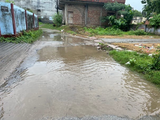 Relief from rain, but humidity causes distress.