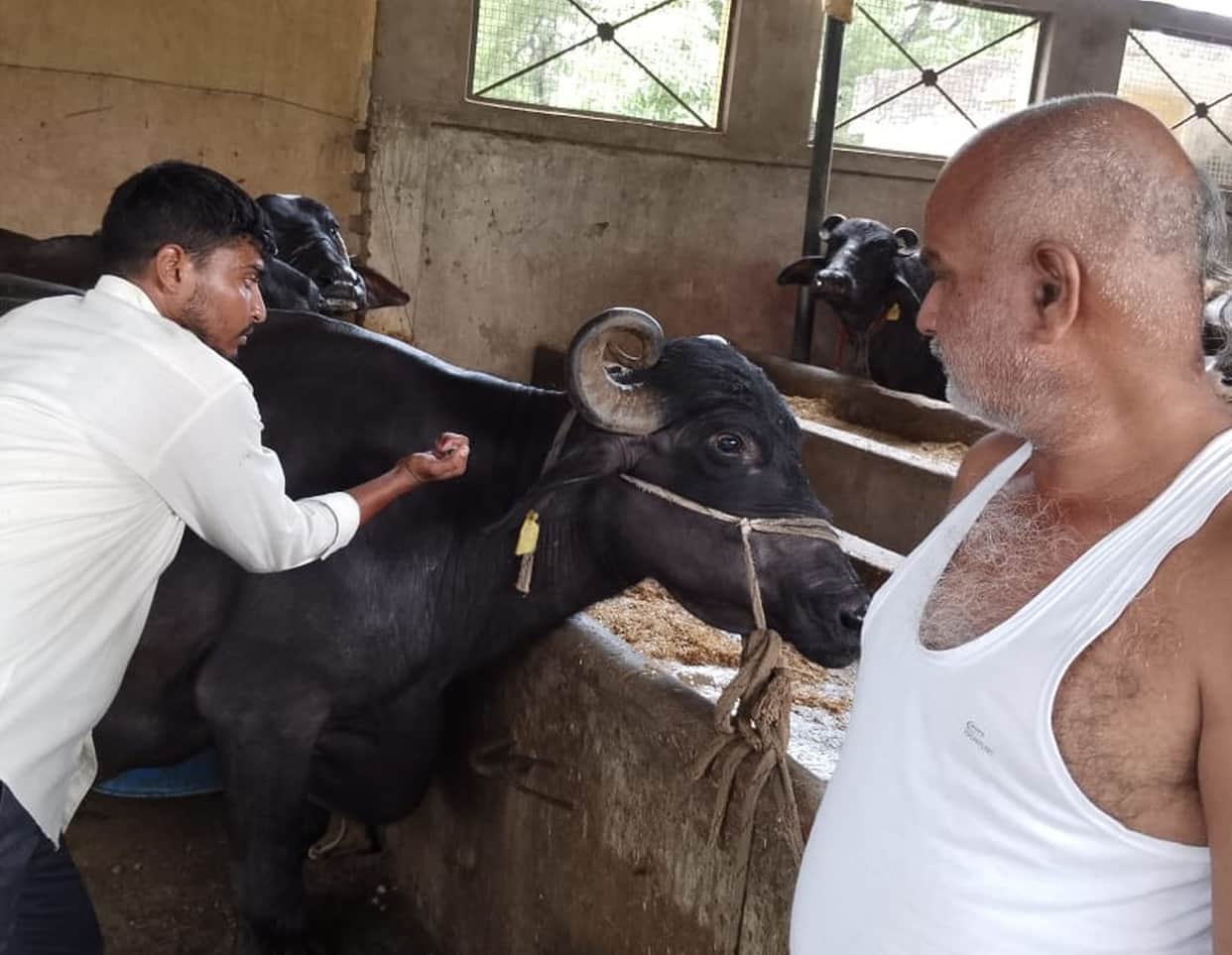 Vaccination 100 on paper, but incomplete in villages