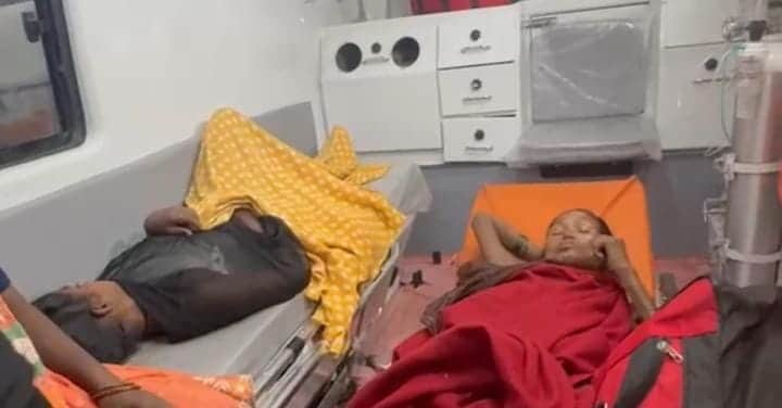 2 Women Injured in Bear Attack in Forest, Admitted to Medical College Forest Department Inspects Area, Panic A
